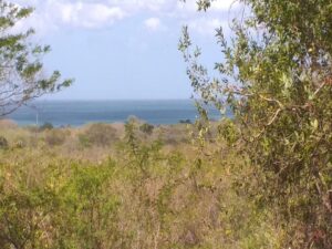 Ocean View Lot in Rancho Santana with buildable coastline property