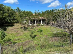 House behind fence with greenery around