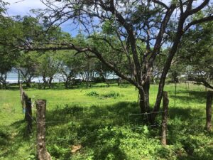 Beginners Bay Lot for Sale - Beachfront Finca Popoyo Nicaragua - Featured Image