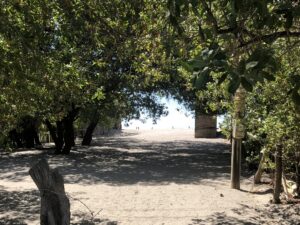 Guasacate Beachfront Property near Popoyo - 1/4 Acre Lot