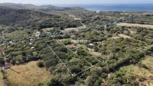 Land for Sale Near Playa Santana - Large Lot - Jiquelite Road - Featured Image