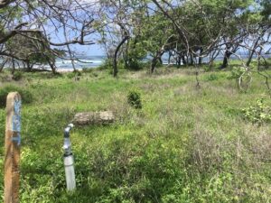 Playa Popoyo Lots for Sale - Prime Location 200m from Beach - Featured Image