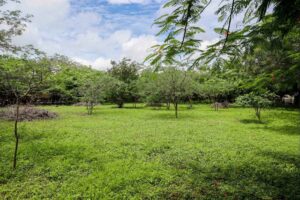 Beach Lot for Sale Popoyo - Residential Lots Near Playa Jiquelite - Featured Image