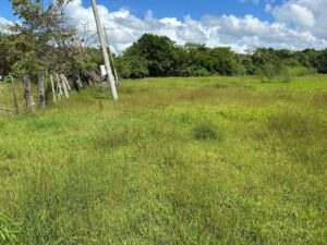 Road Front Land Coastal Highway - Las Salinas Popoyo - Featured Image