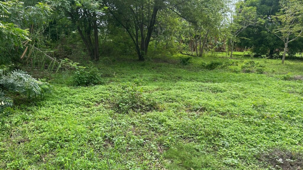 Commercial property for sale Popoyo road front multi-use land on the Coastal Highway