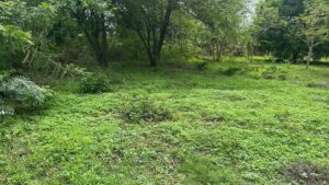 Commercial property for sale Popoyo road front multi-use land on the Coastal Highway