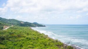 Beachfront Land Near Popoyo, Playa Brito